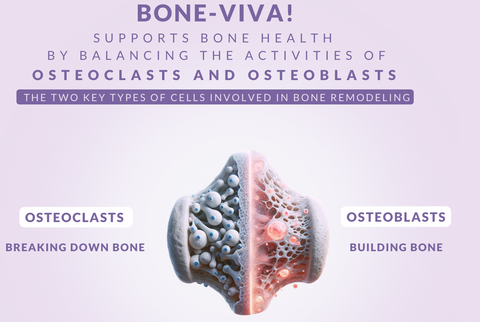 BONE-VIVA!